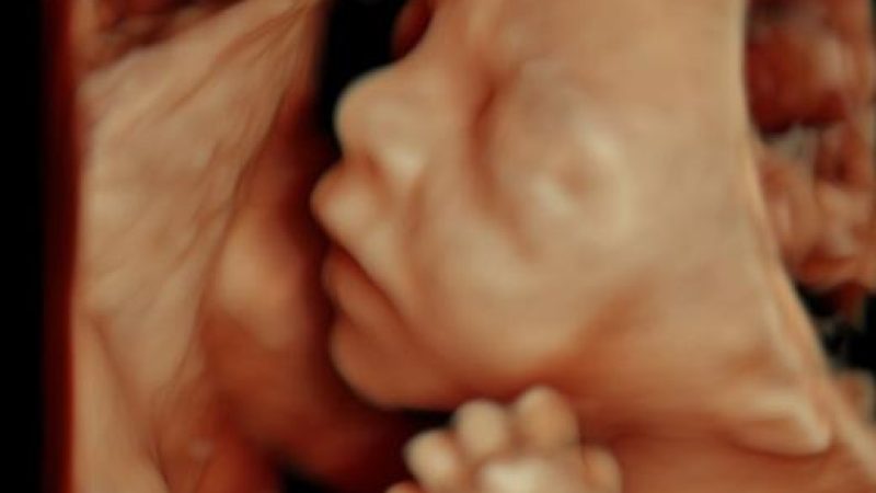 22wks-6338.jpg