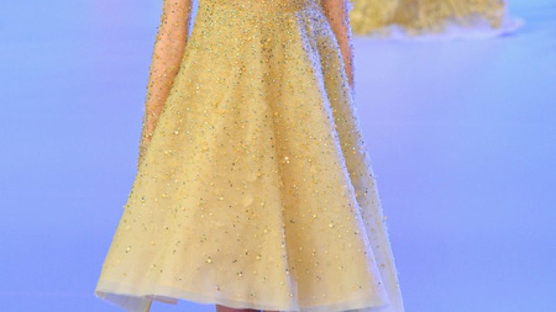elie_saab_2014_bahar_koleksiyonu-24.jpg